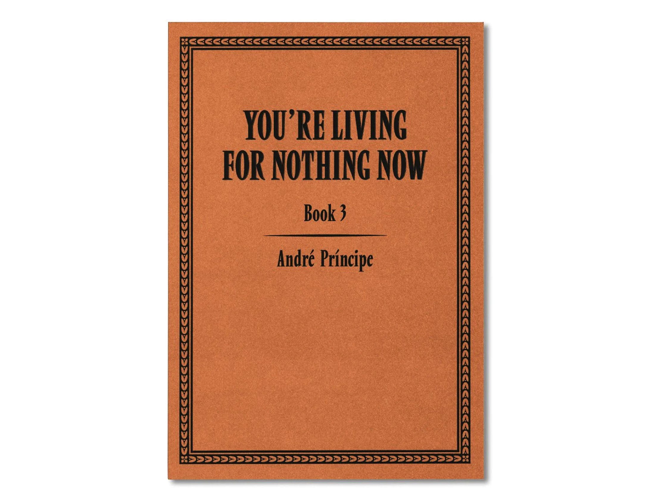 YOU'RE LIVING FOR NOTHING NOW (BOOK 3)<br>André Príncipe