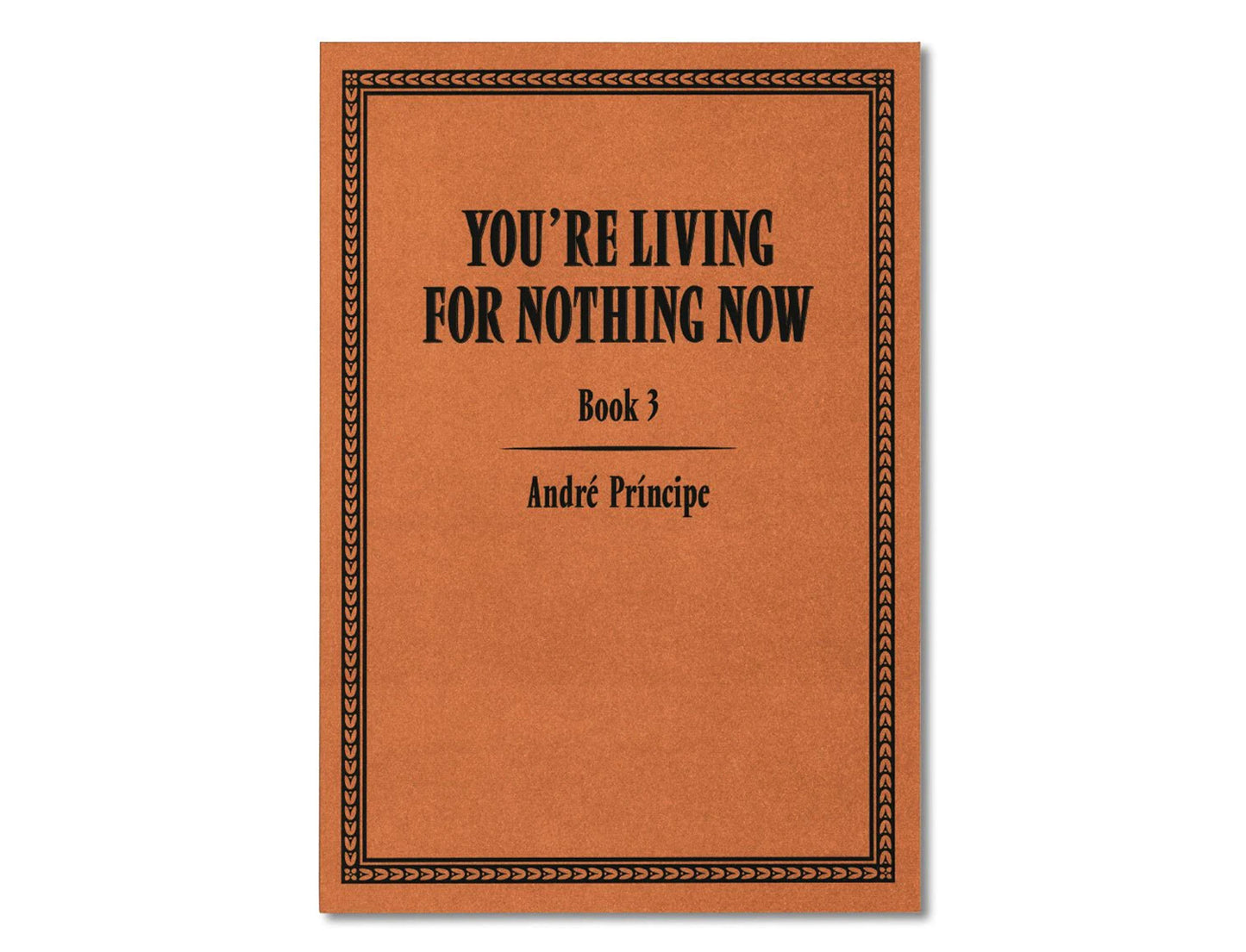 You're Living for Nothing Now (Book 3) by André Príncipe