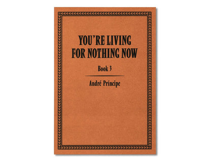 You're Living for Nothing Now (Book 3) by André Príncipe