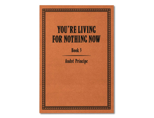 You're Living for Nothing Now (Book 3) by André Príncipe