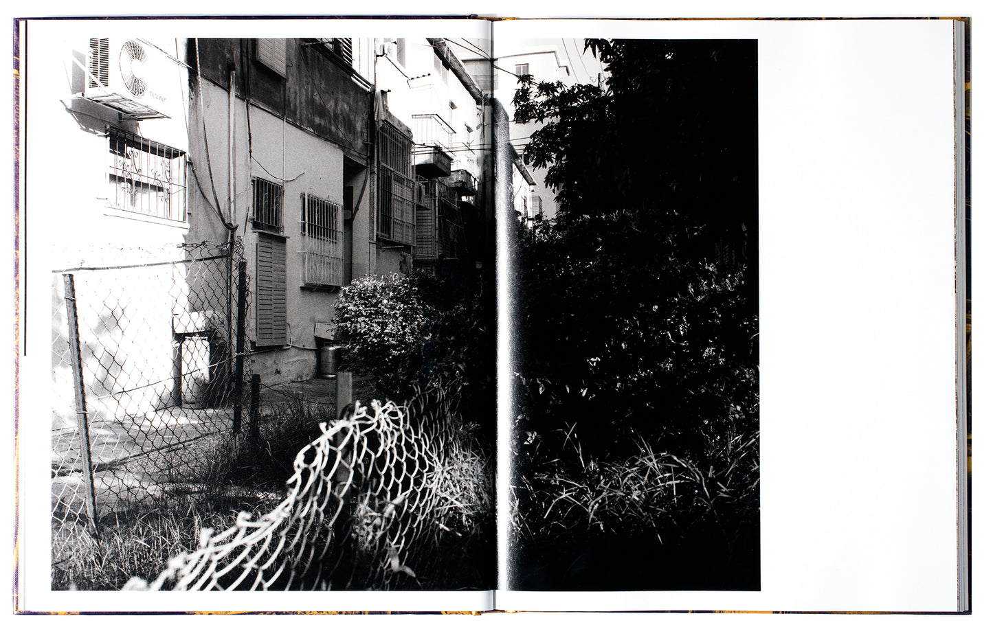 Things Here and Things Still to Come by José Pedro Cortes