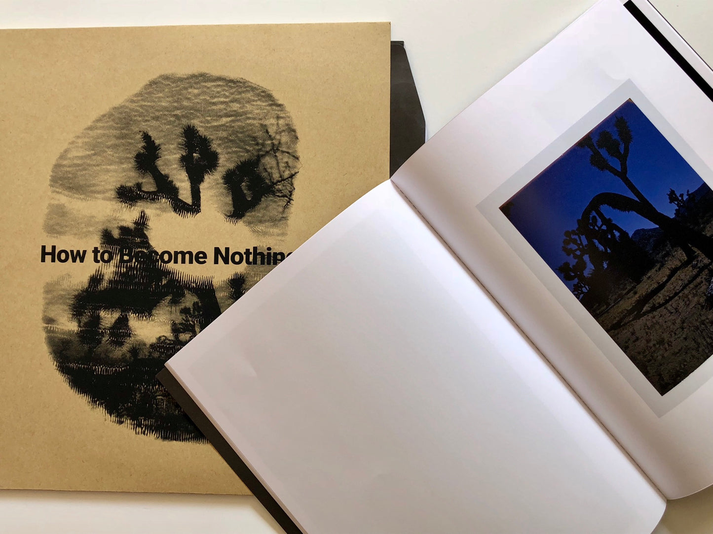 How to Become Nothing by The Legendary Tigerman and  Rita Lino (12'' LP + Book)