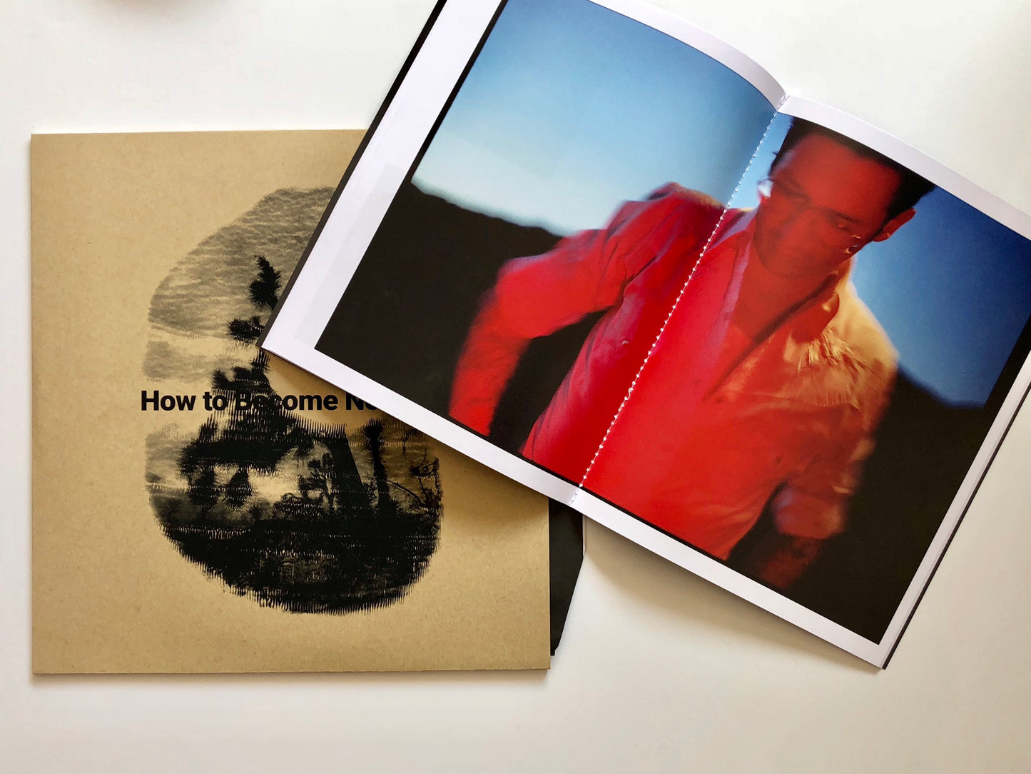 How to Become Nothing by The Legendary Tigerman and  Rita Lino (12'' LP + Book)
