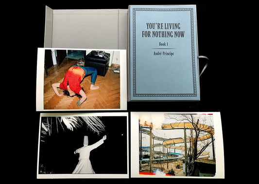 You're Living for Nothing Now (Book 1, 2, 3 | Special Edition