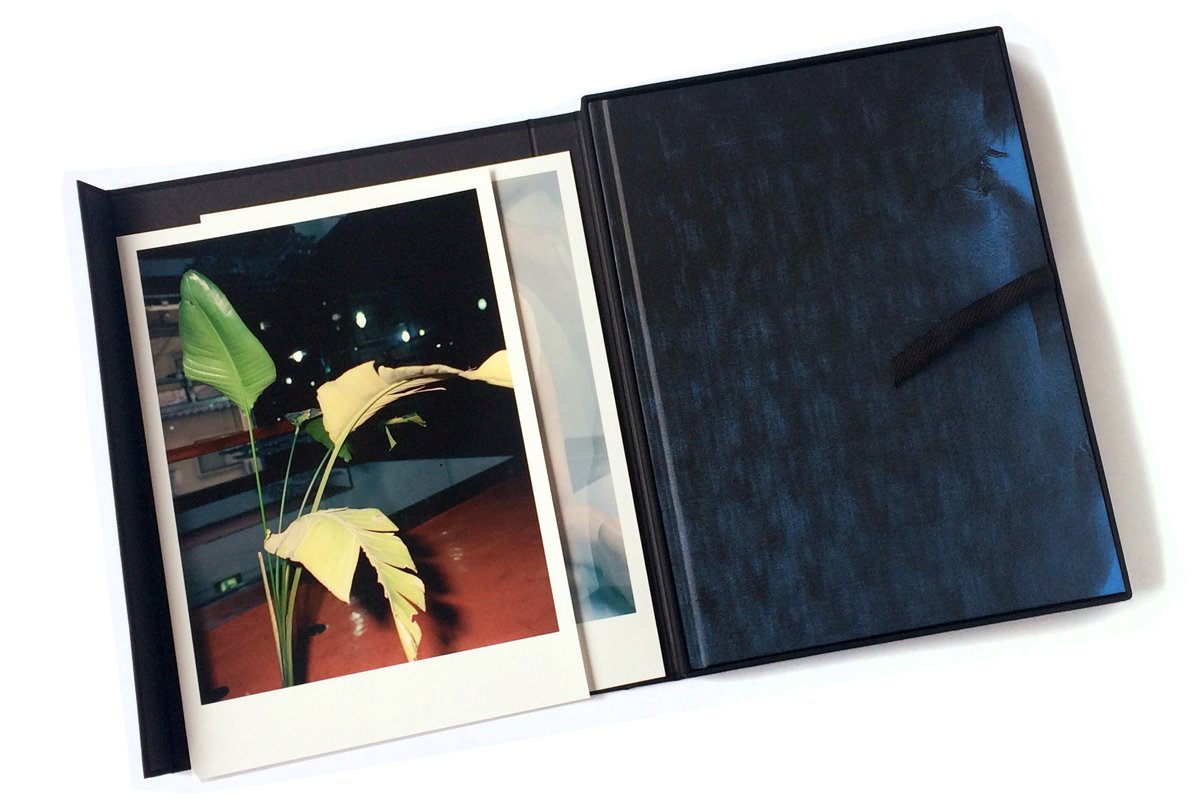 One's Own Arena by José Pedro Cortes | Special Edition