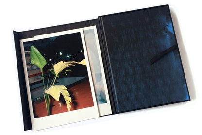 One's Own Arena by José Pedro Cortes | Special Edition
