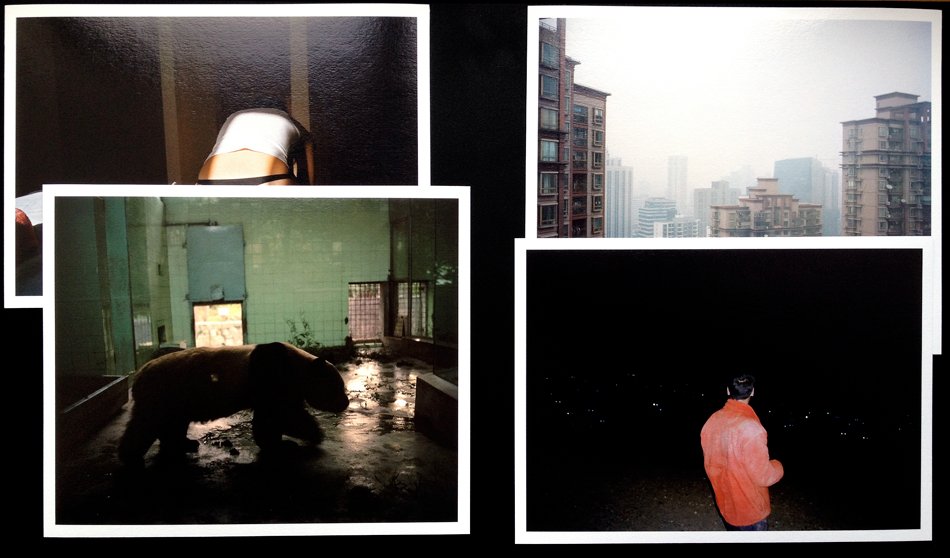 Smell of Tiger Precedes Tiger by André Príncipe | Special Edition with 4 Prints