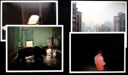 Smell of Tiger Precedes Tiger by André Príncipe | Special Edition with 4 Prints