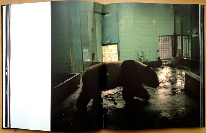 SMELL OF TIGER PRECEDES TIGER<br>André Príncipe