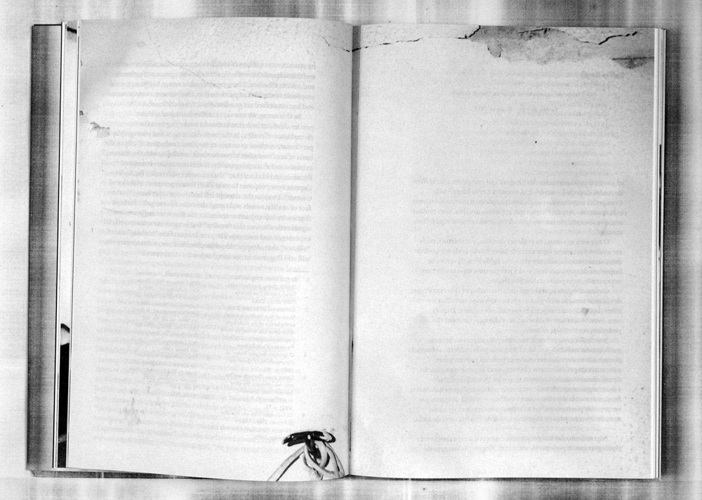 RIEN - Livro de Textos / Textbook by André Cepeda