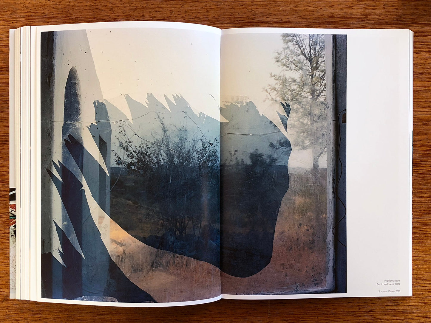 A Necessary Realism  by José Pedro Cortes