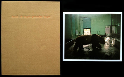 Smell of Tiger Precedes Tiger by André Príncipe | Special Edition with 1 Print