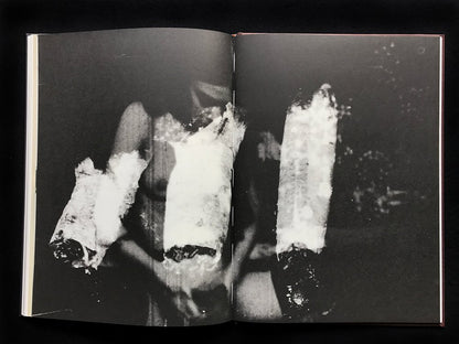 Hollinshausen by Anne Lefebvre | Special Edition