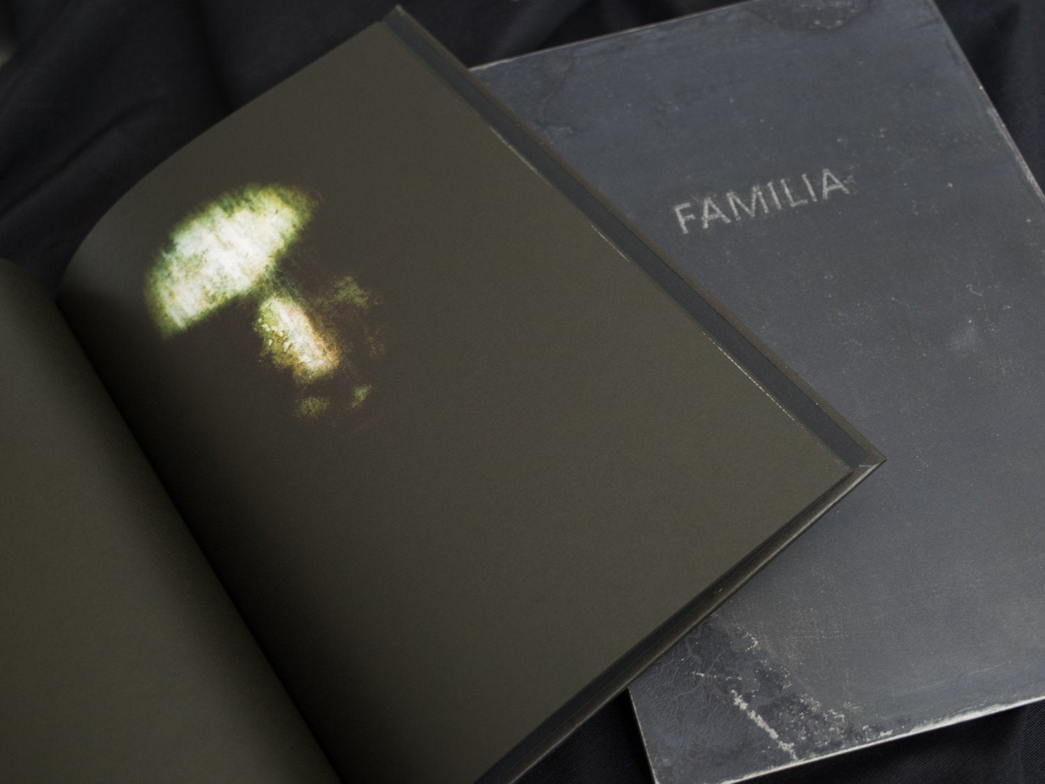 Família Aeminium<br>Pedro Costa and Rui Chafes<br>SPECIAL EDITION