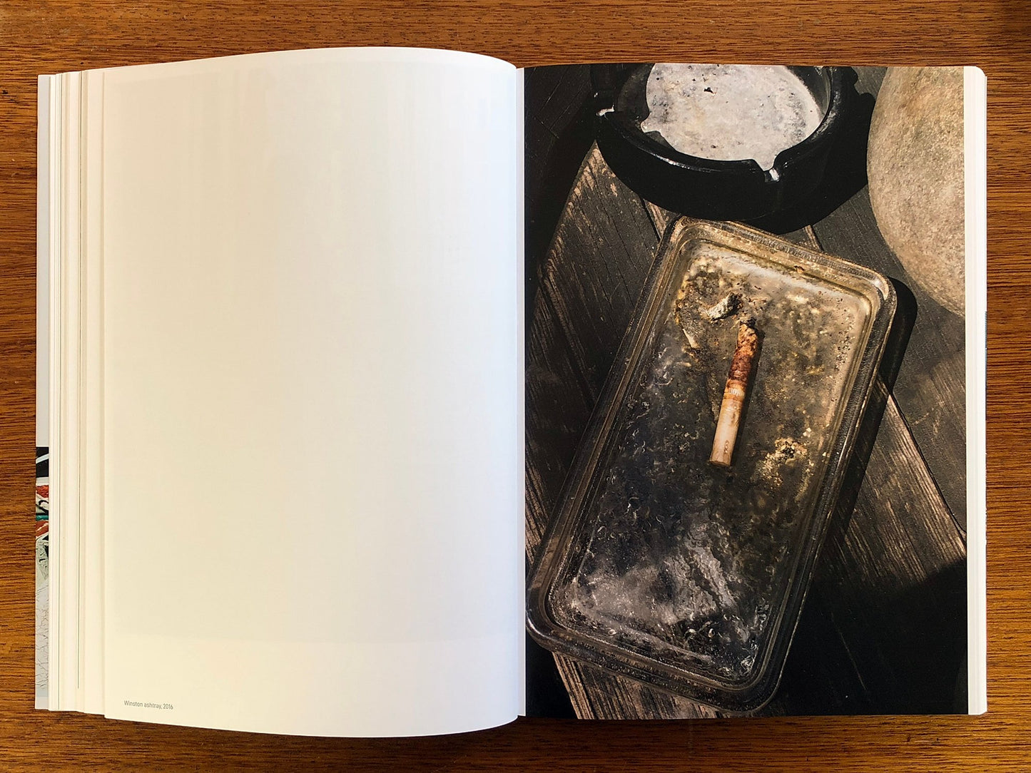 A Necessary Realism  by José Pedro Cortes