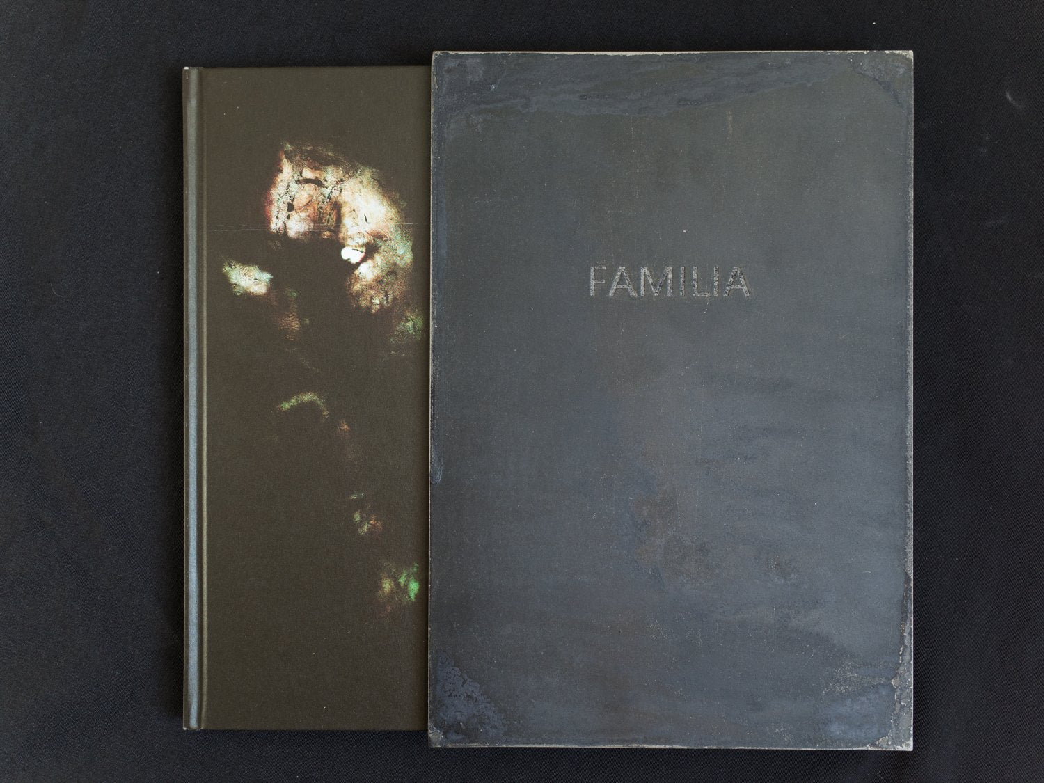 Família Aeminium<br>Pedro Costa and Rui Chafes<br>SPECIAL EDITION