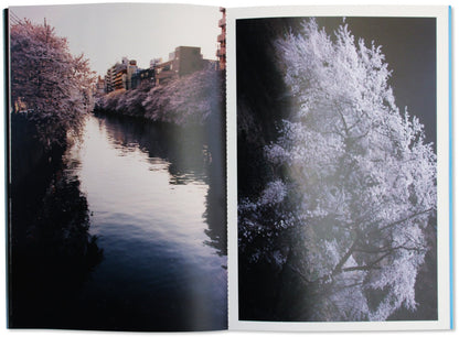 Drop of Light to Rushing Water by Keiko Nomura