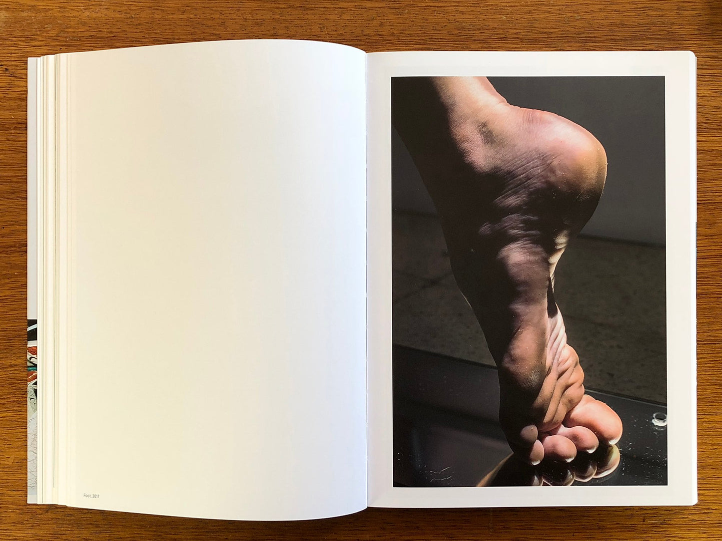 A Necessary Realism  by José Pedro Cortes