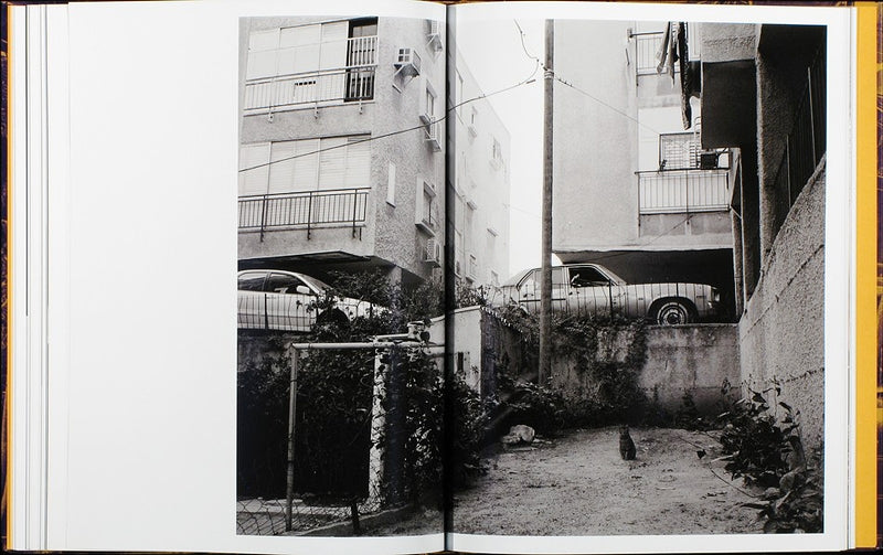 Things Here and Things Still to Come by José Pedro Cortes