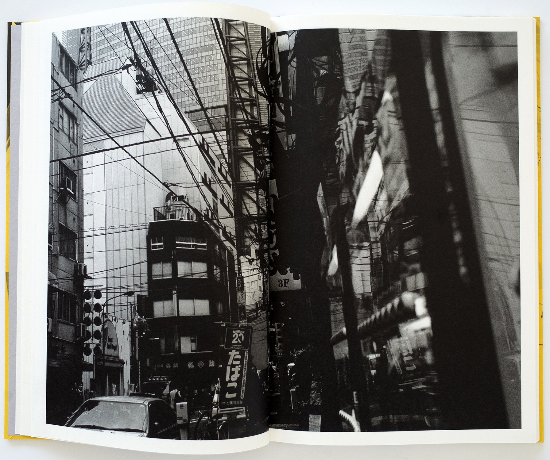 CONCRETE OCTOPUS<br>Osamu Kanemura