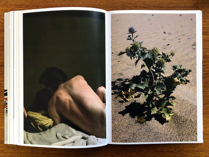 A Necessary Realism  by José Pedro Cortes