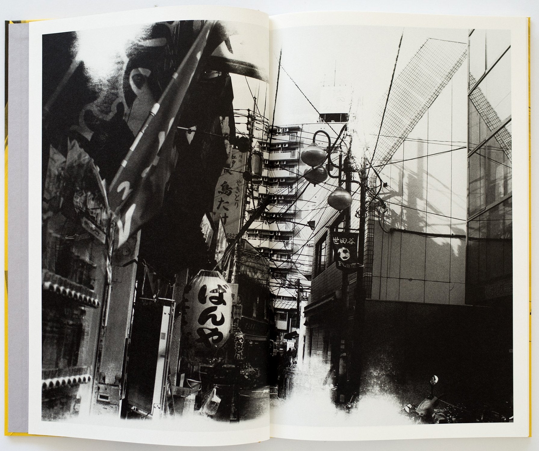 CONCRETE OCTOPUS<br>Osamu Kanemura