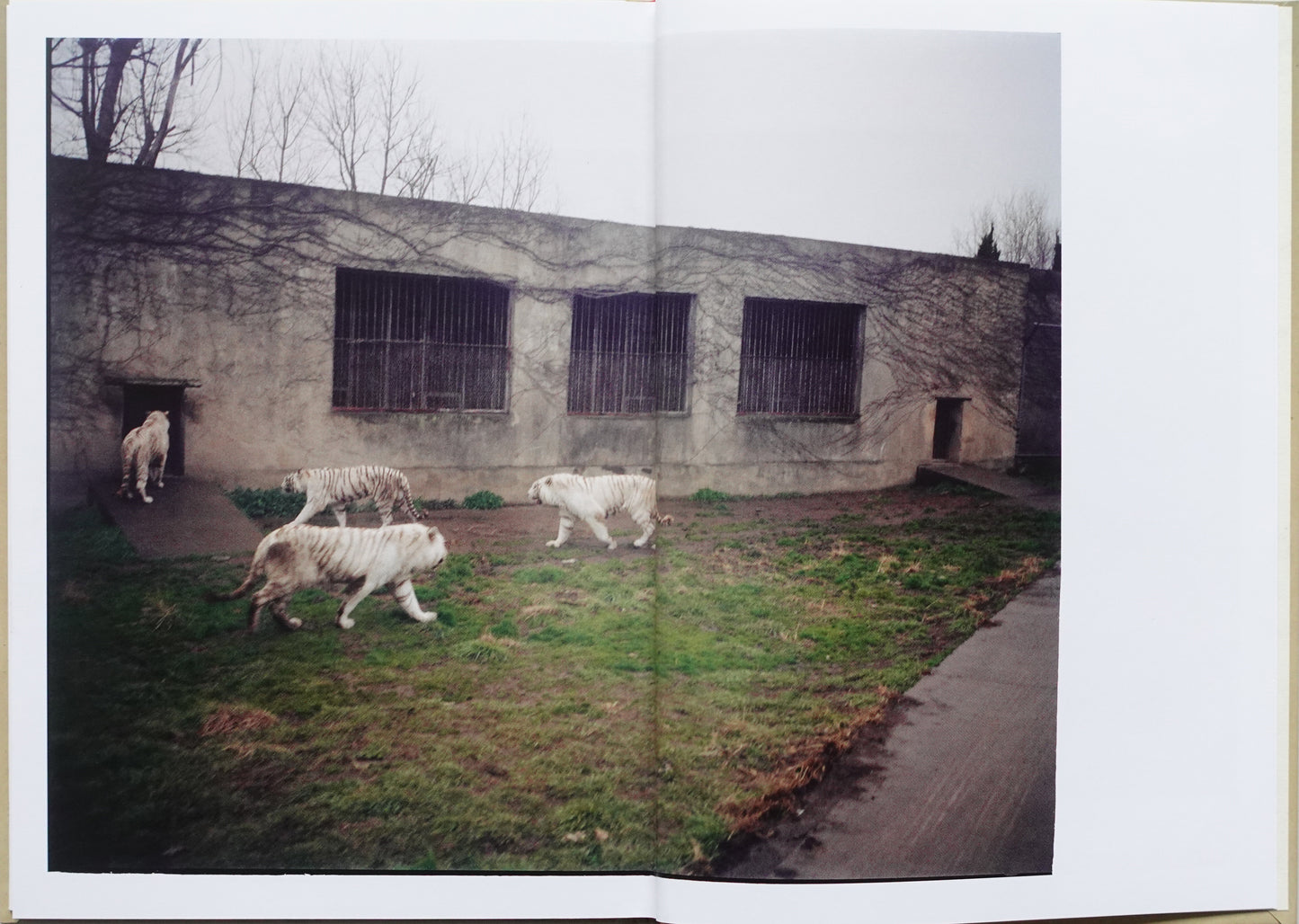 On Seeing Mr.Tang Leave to Tsinghai by André Príncipe