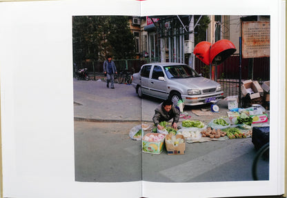 On Seeing Mr.Tang Leave to Tsinghai by André Príncipe