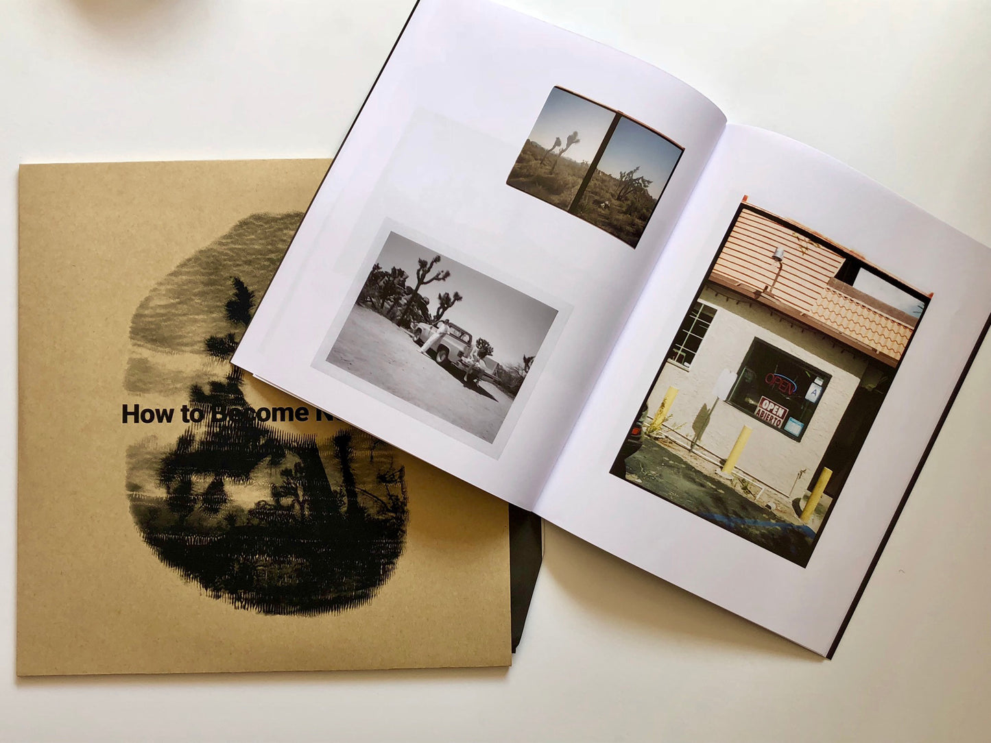How to Become Nothing by The Legendary Tigerman and  Rita Lino (12'' LP + Book)