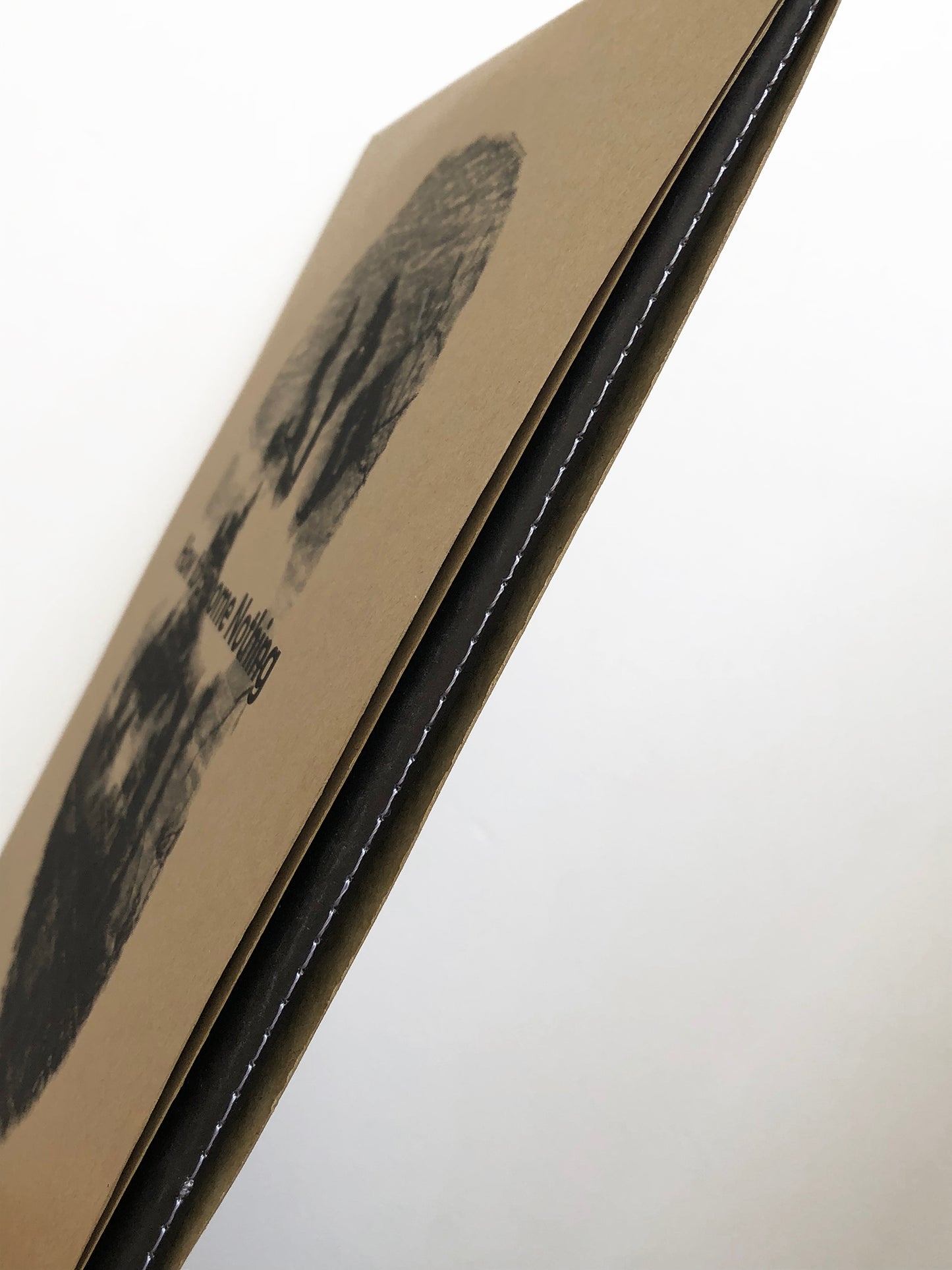 How to Become Nothing by The Legendary Tigerman and  Rita Lino (12'' LP + Book)
